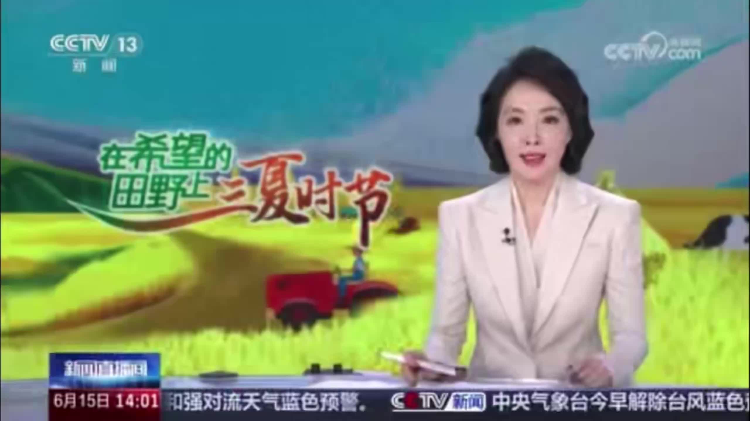 【央视新闻直播间】在希望的田野上·三夏时节 山东滨州 小麦进入机收高峰期