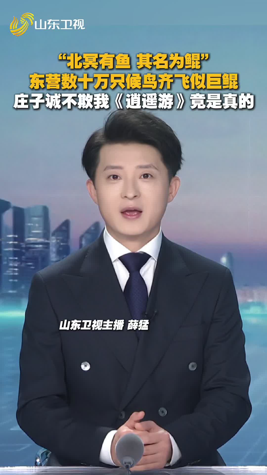 主播说山东｜“北冥有鱼”竟然是真的！东营数十万候鸟起飞宛若“巨鲲”