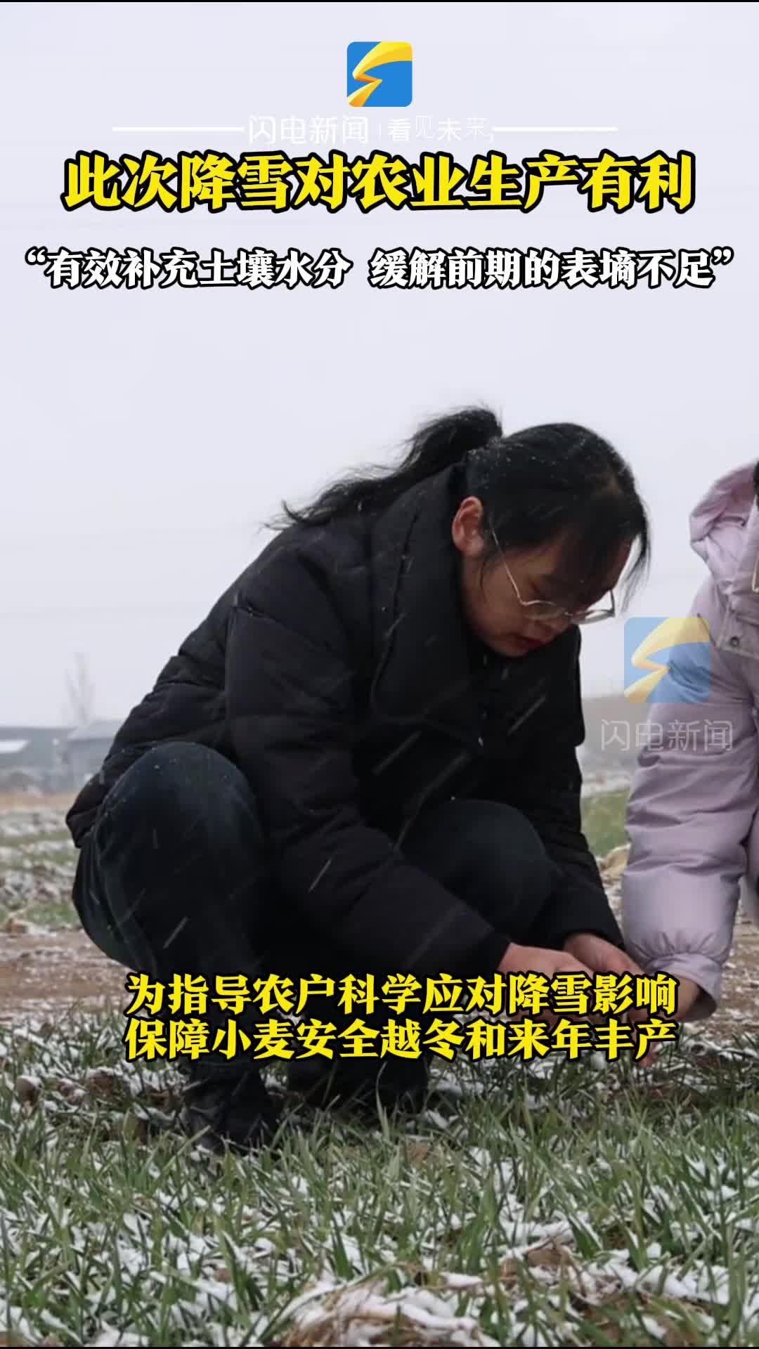 夏津：雪后麦田管理 农业专家田间“传经送宝”​