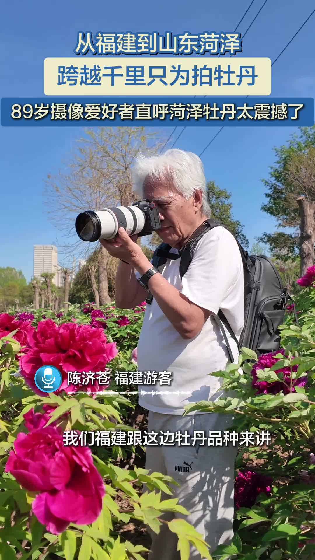 2026世界牡丹大会｜89岁福建摄影爱好者跨越千里“追牡丹”，直呼太震撼