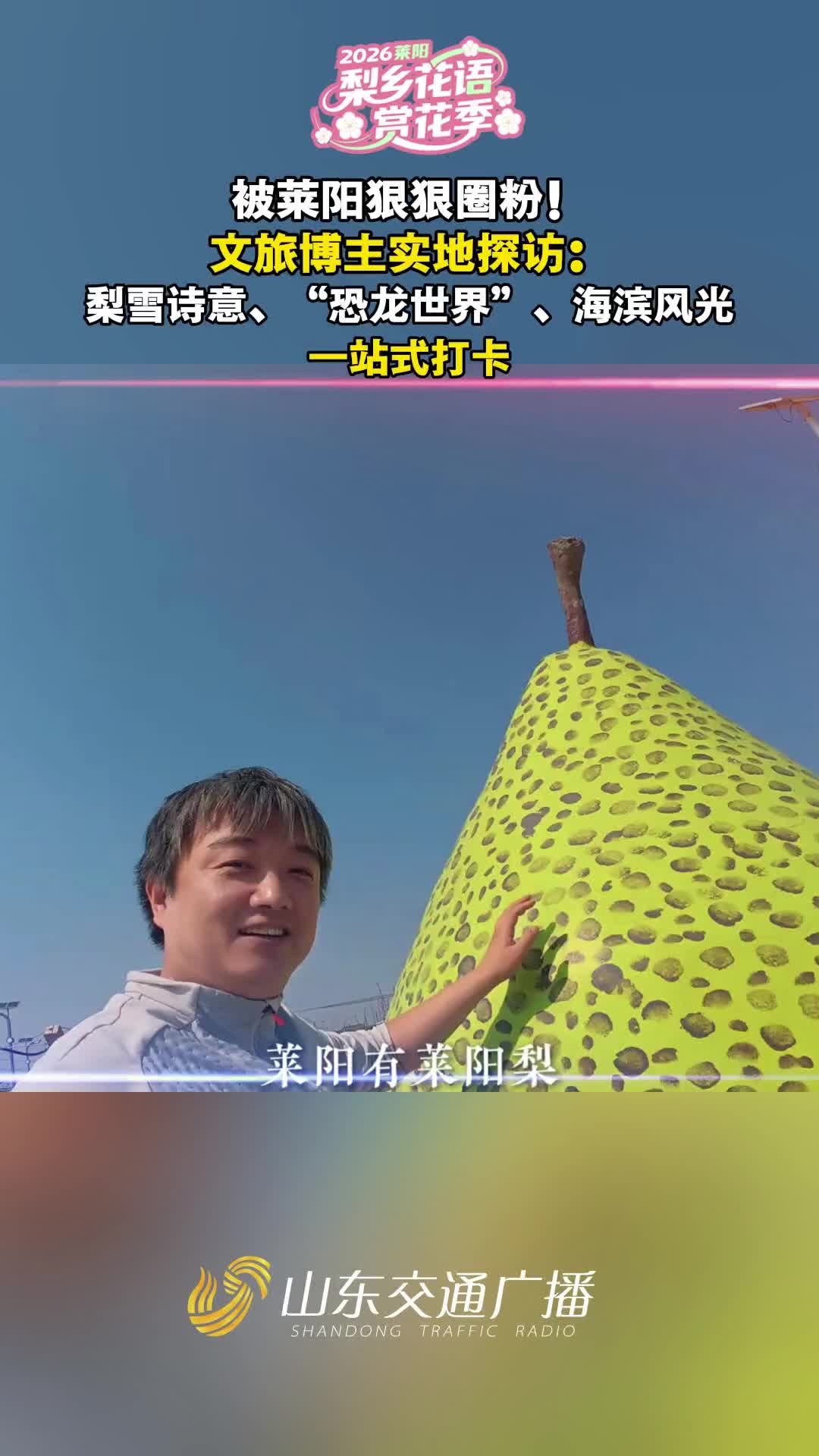被莱阳狠狠圈粉！文旅博主实地探访：梨雪诗意、“恐龙世界”、海滨风光……一站式打卡！