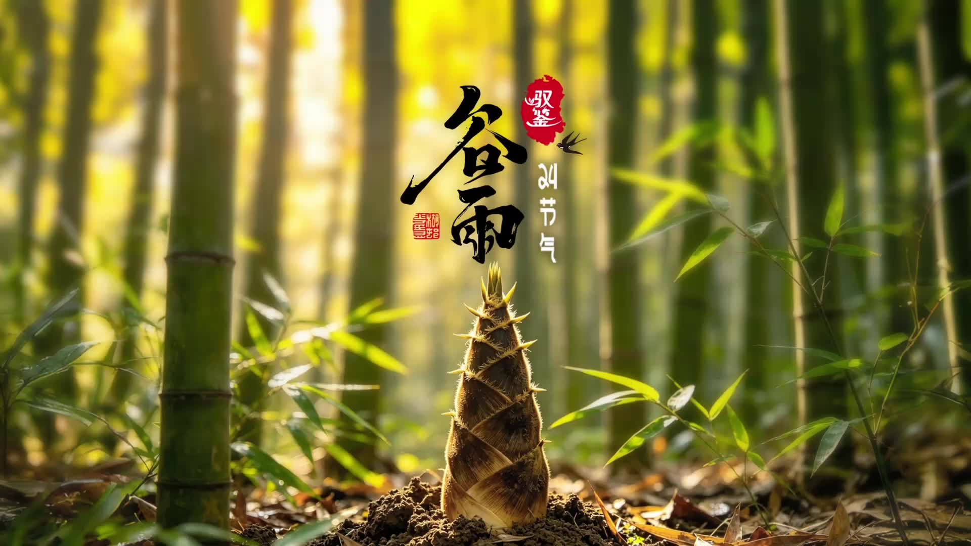 谷雨｜驭鉴24节气——家乡的味道