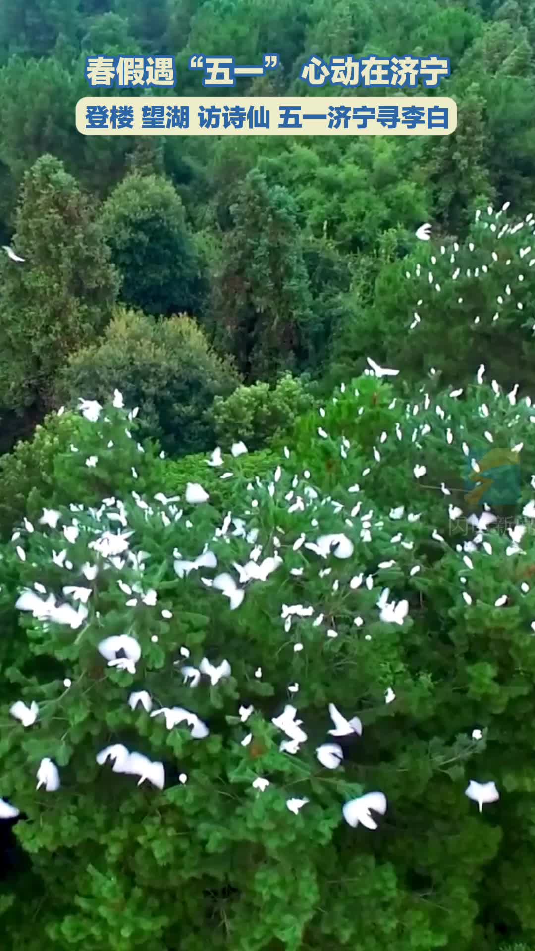 春假遇“五一” 心动在济宁｜登楼 望湖 访诗仙 五一济宁寻李白