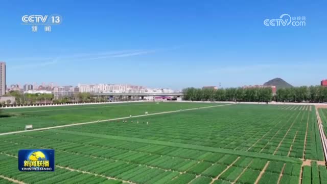 【新思想引领新征程】加快推进种业振兴 提升种源安全保障能力