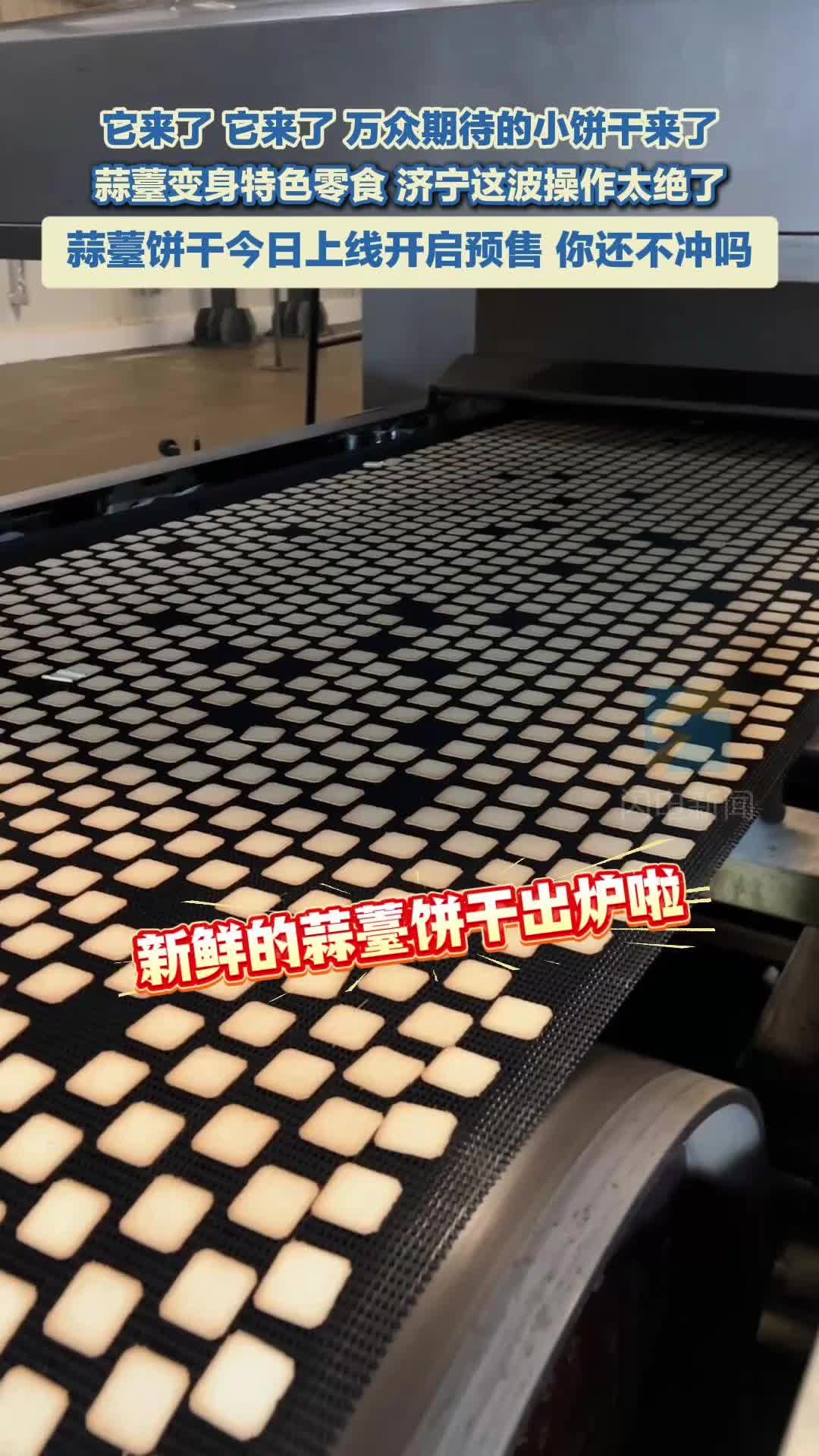 济宁专属蒜薹饼今日正式预售 好吃到上头 你还不冲吗