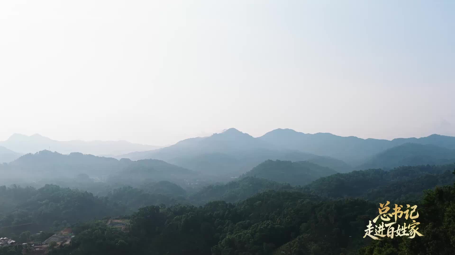 总书记走进百姓家|“把茶叶经营好,把日子过得更红火”