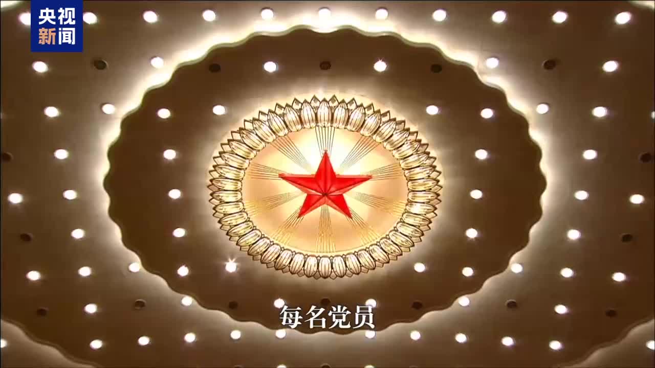 大党丨勋章无言