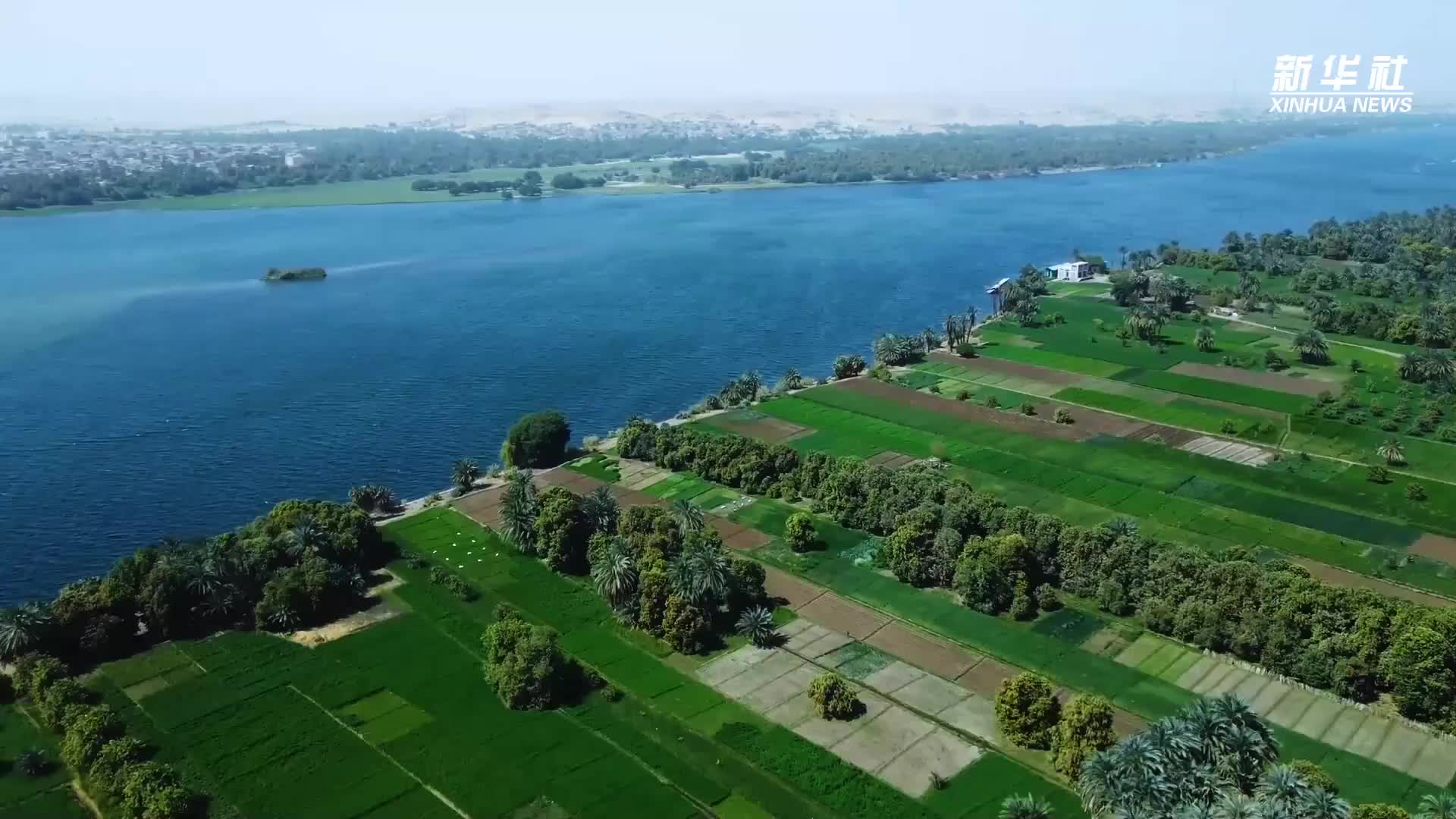 微视频｜深化全面战略伙伴关系 推进中埃命运共同体建设