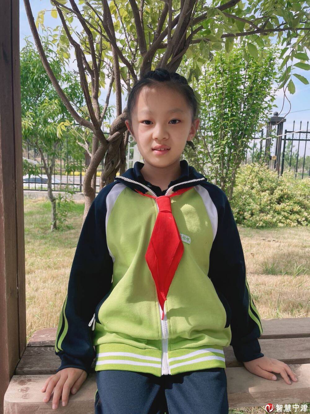 悦读者丨陈怡帆祝愿