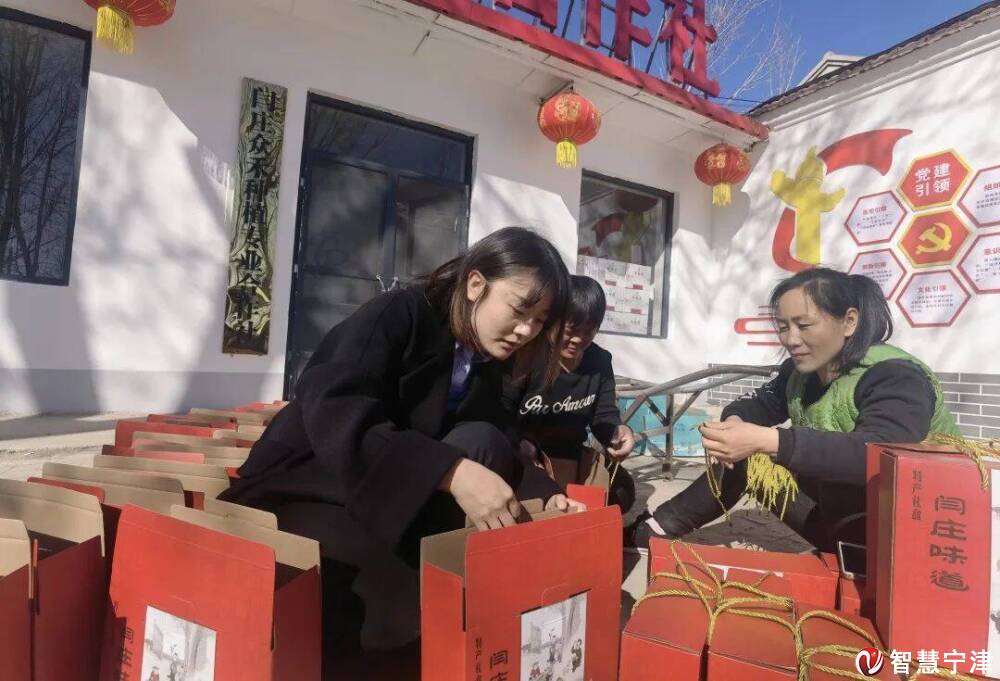 杜集镇:乡村振兴新气象 村强民美新力量-智慧宁津