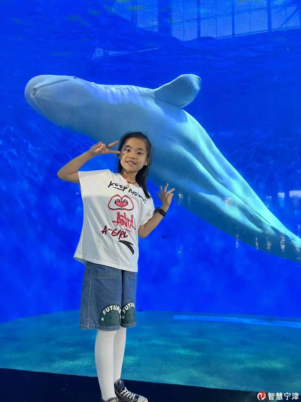 悦读者初升的太阳朗读者张依