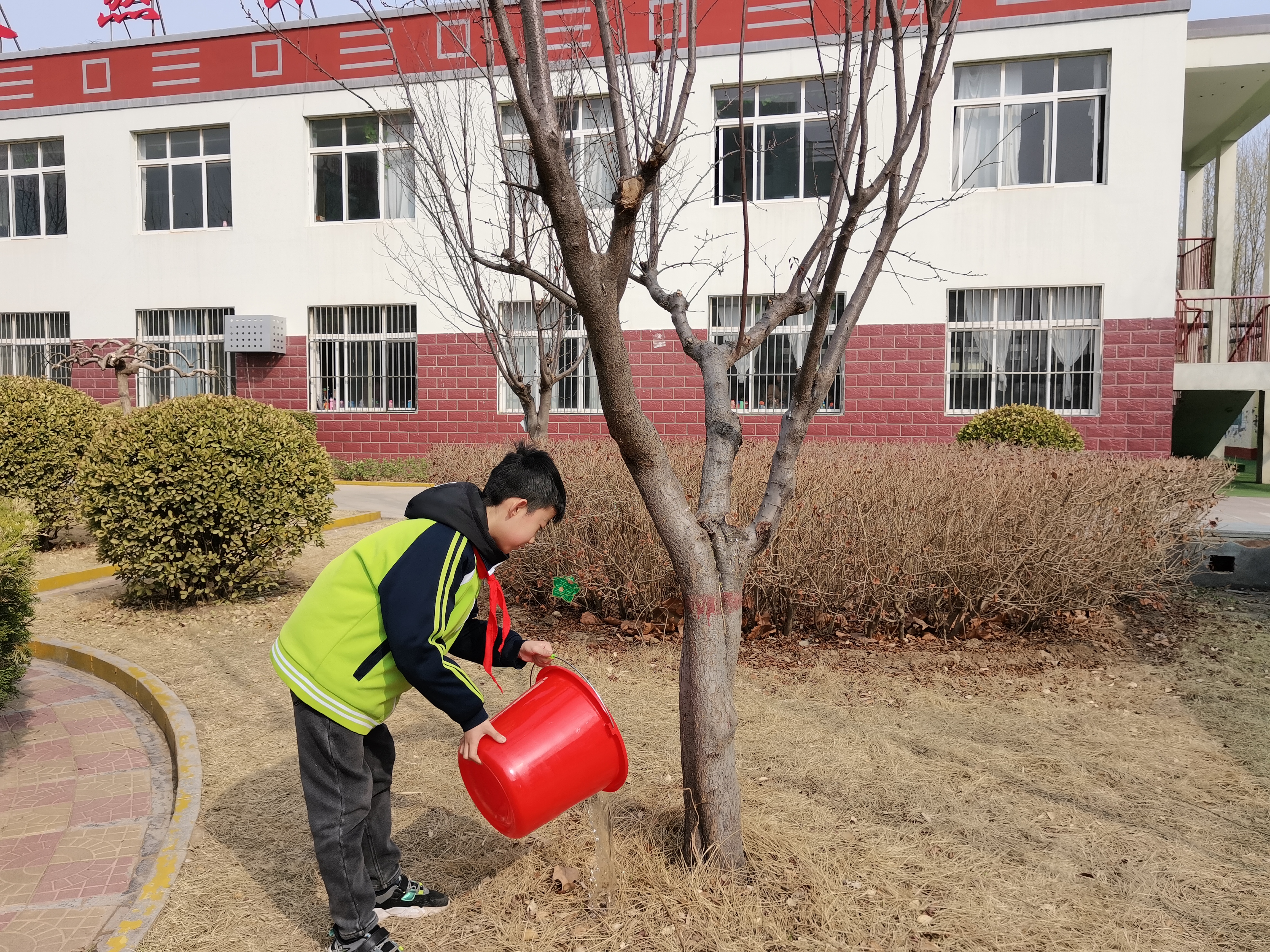 学校植树节活动美篇图片