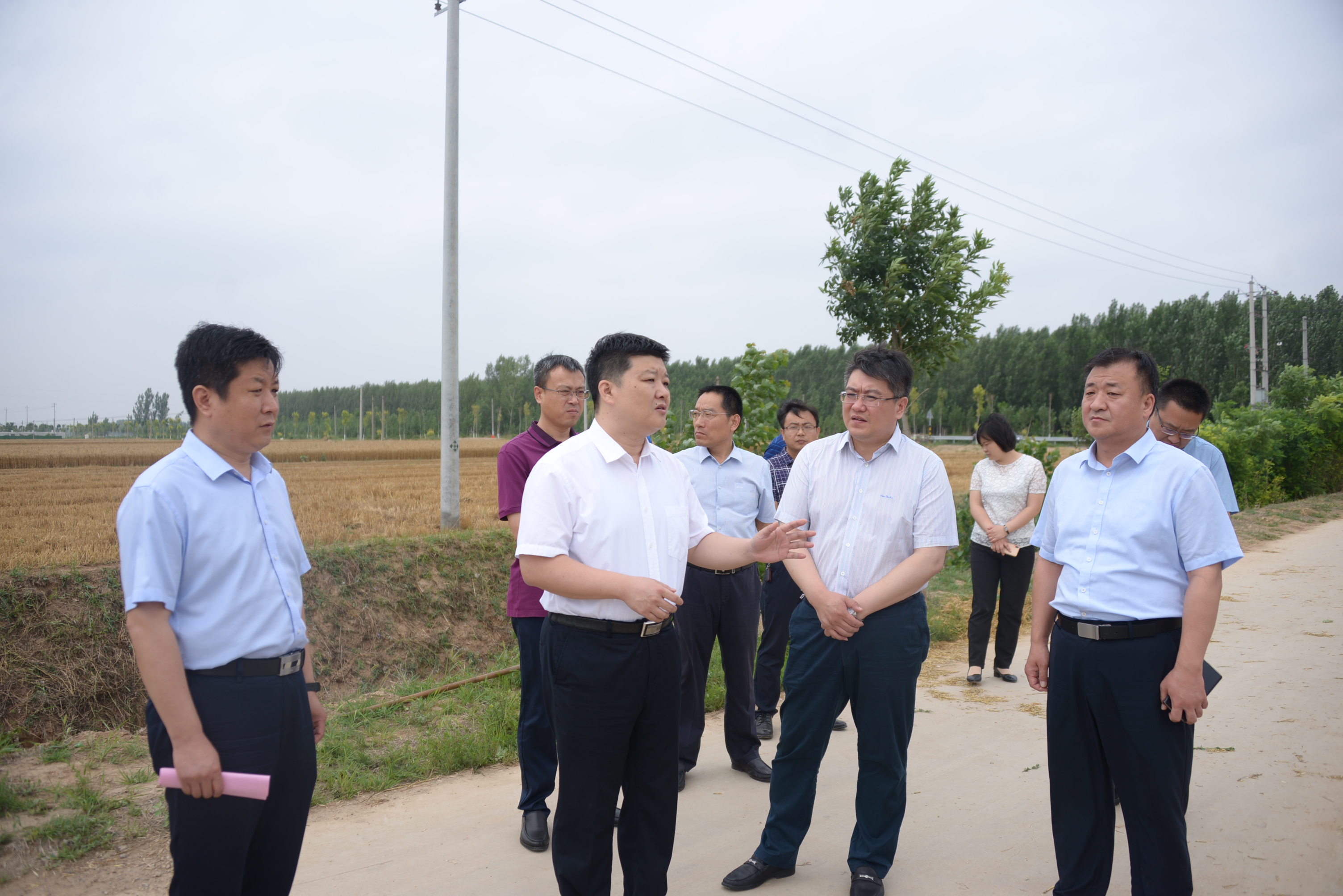 德州宁津王成调研三夏生产及高标准农田建设工作