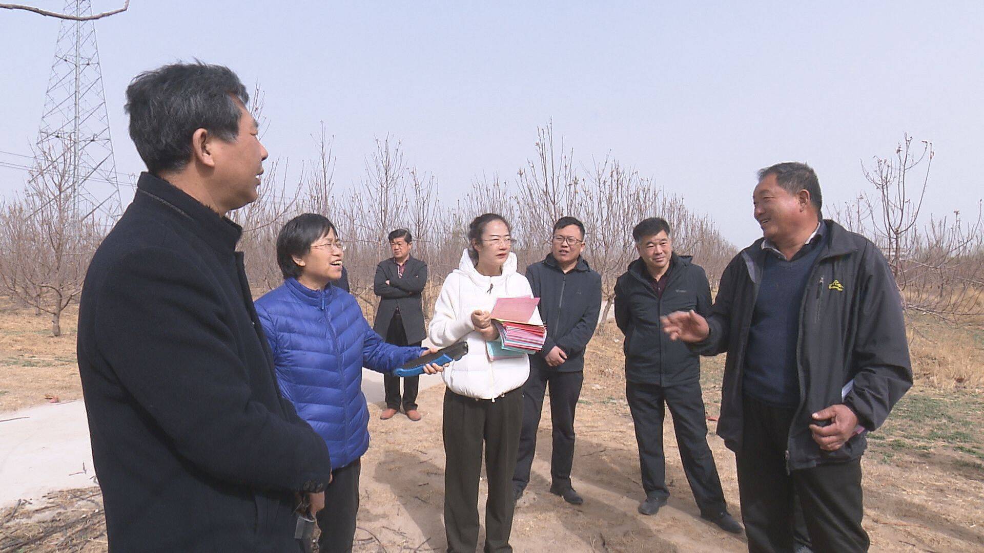 閃電號>媒體>商河融媒>近日,在商河縣殷巷鎮四楊莊園,當地林果科技