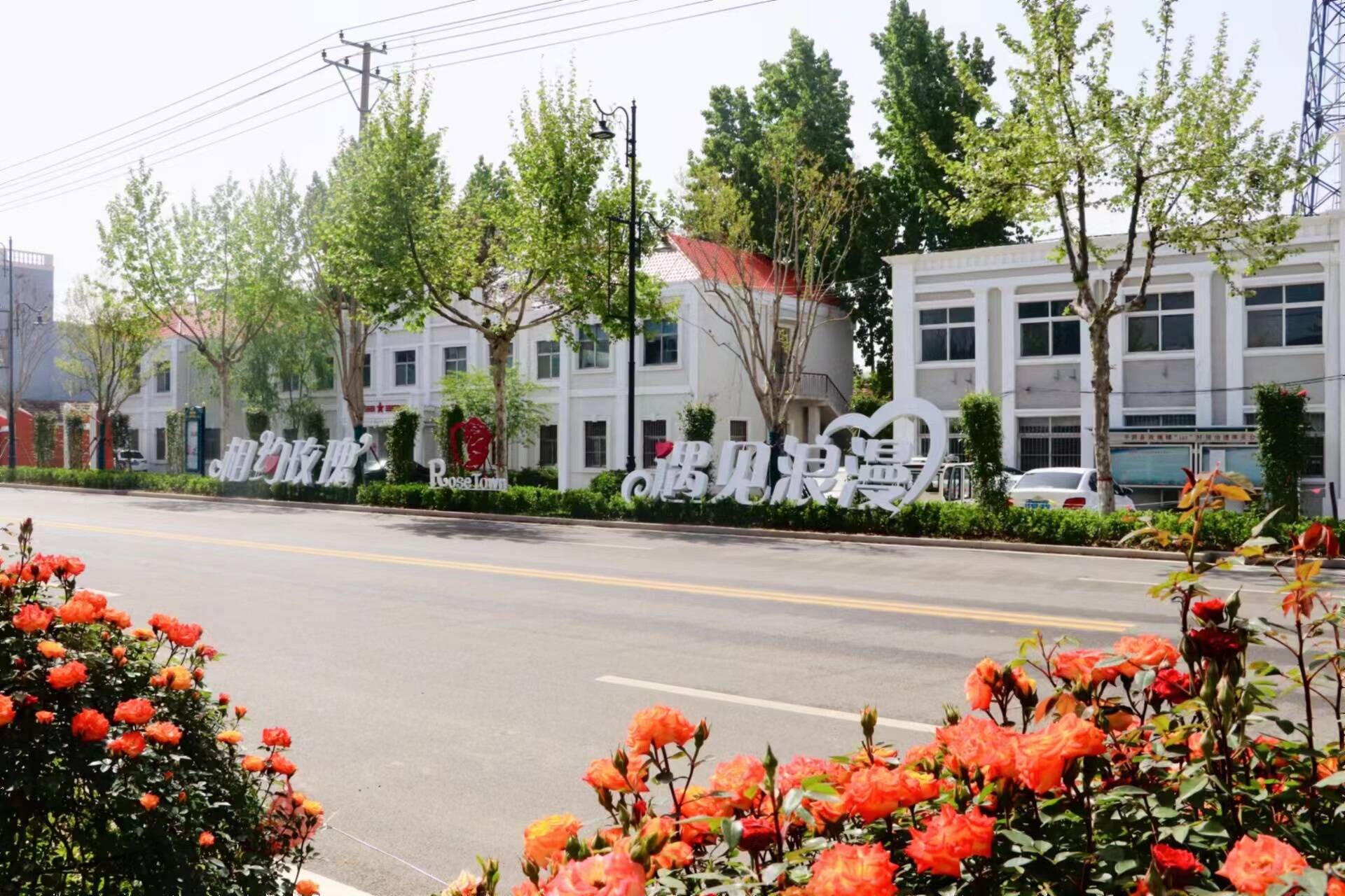 平阴县玫瑰镇加减乘除工作法解锁农村人居环境整治的玫瑰密码