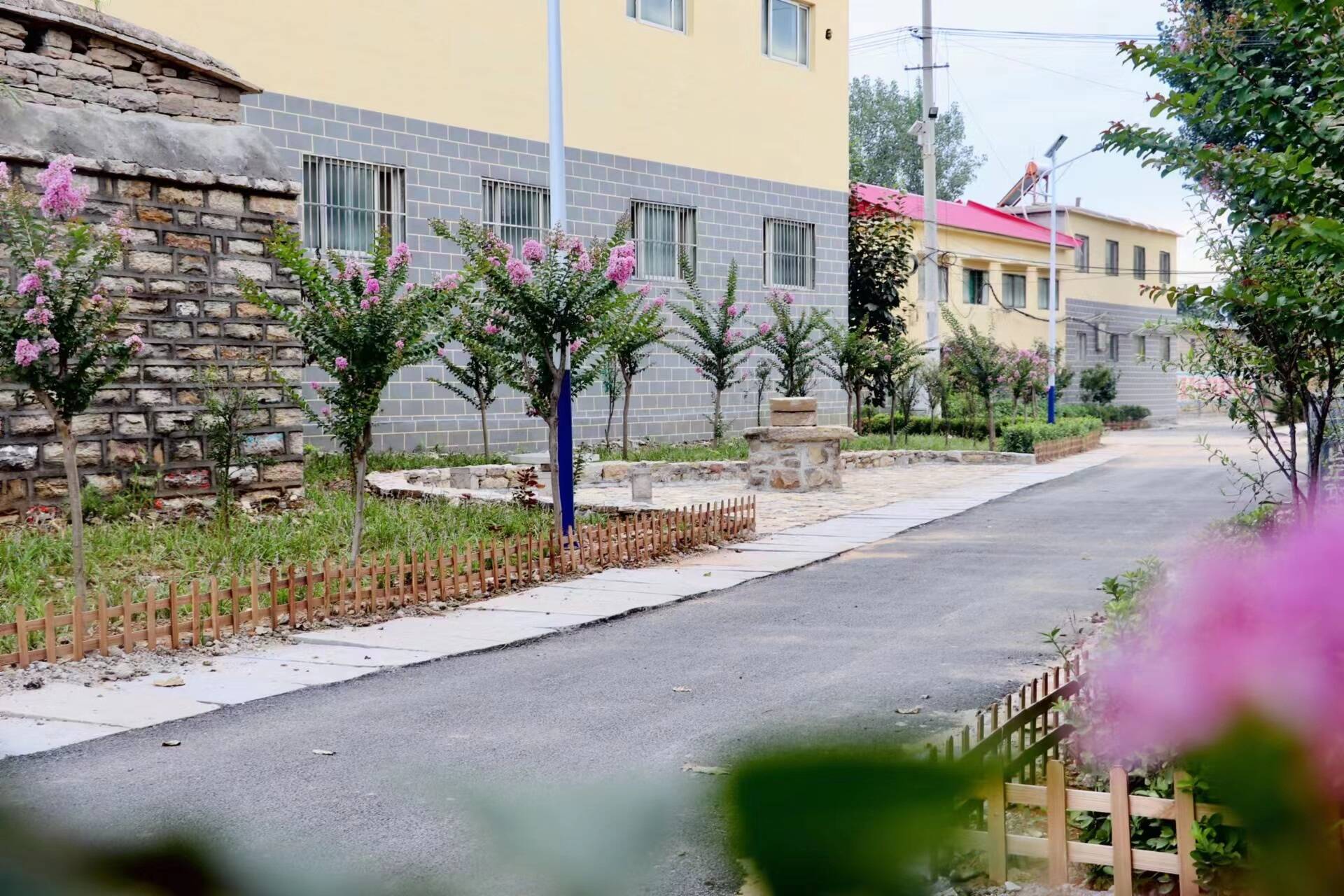 平阴县玫瑰镇加减乘除工作法解锁农村人居环境整治的玫瑰密码