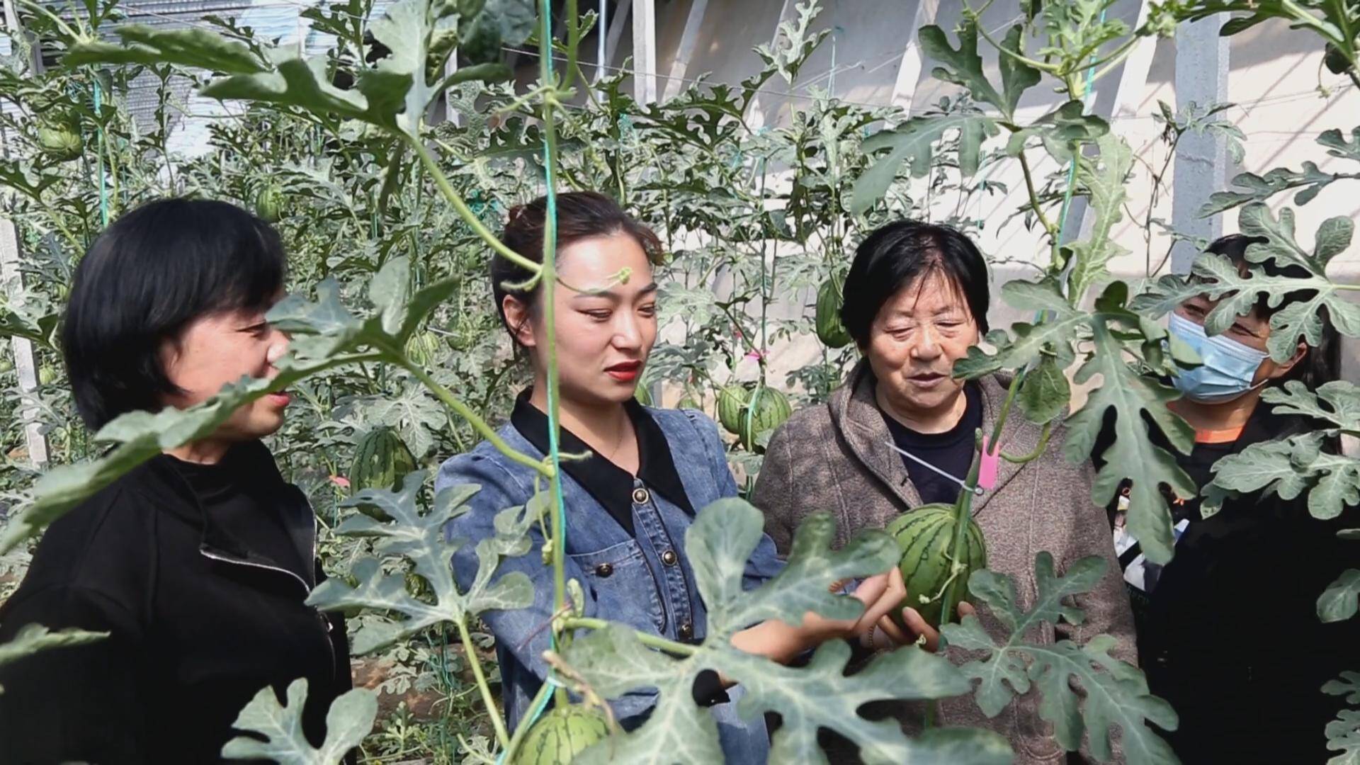 广饶县花官镇妇女创业有路子激活振兴她力量