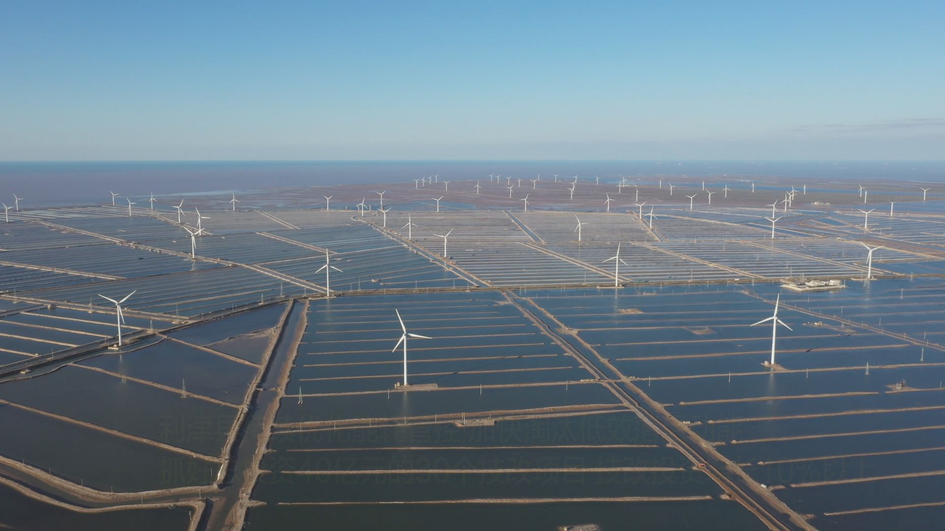 利津:培育"风光电 产业" 加快新能源产业发展