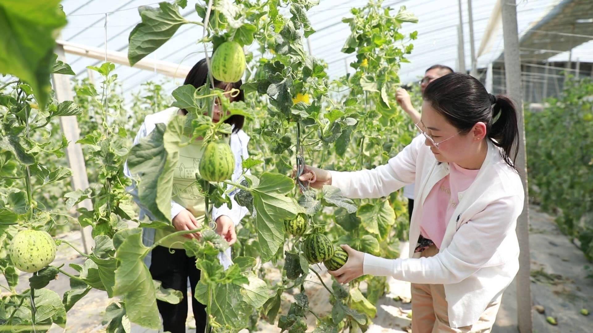 利津美女图片