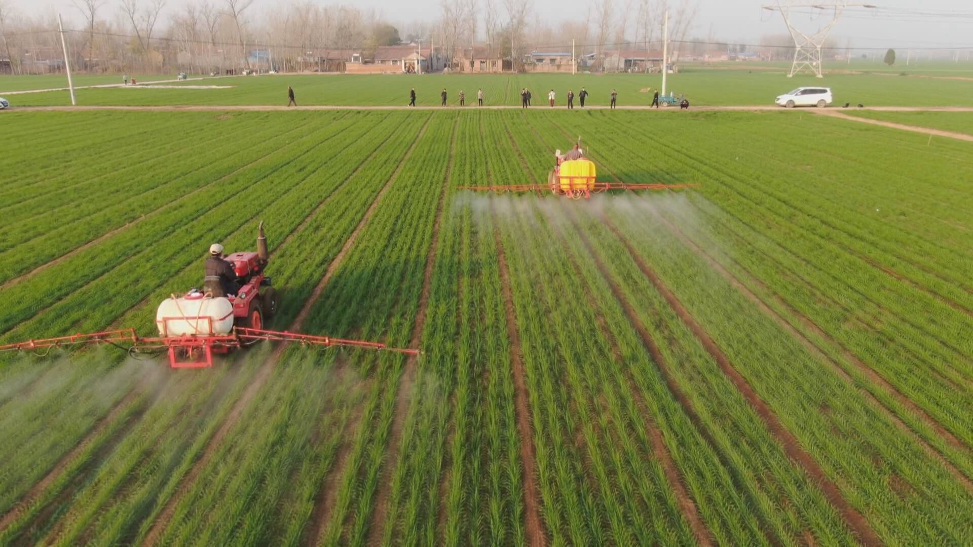 菏泽成武多措并举助力小麦安全越冬