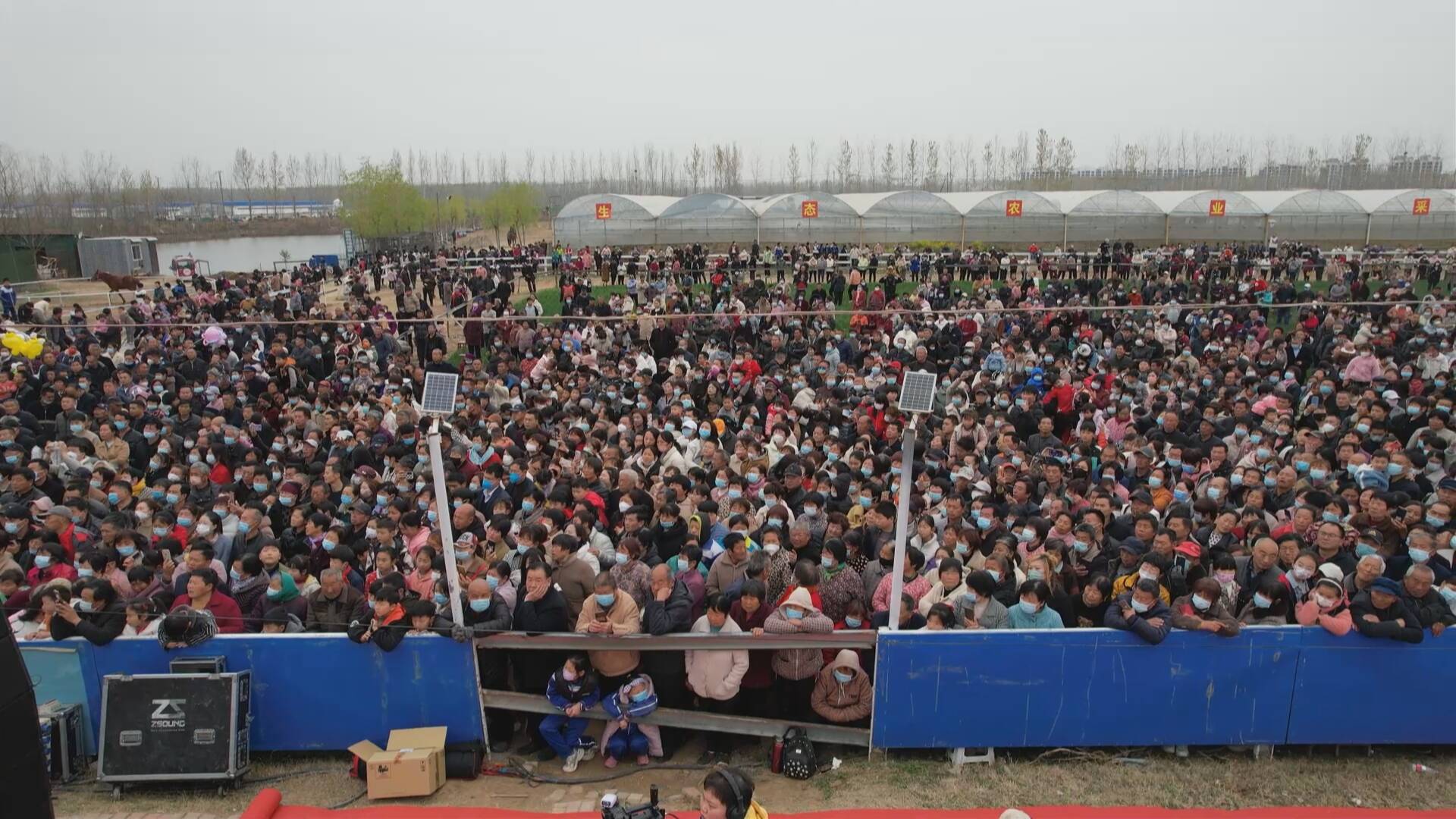 成武:桃花季来了!汶上集镇第一届桃花节盛大开幕