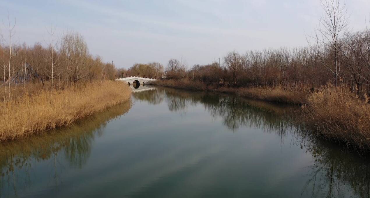 菏泽市东明县湿地总面积达15887公顷