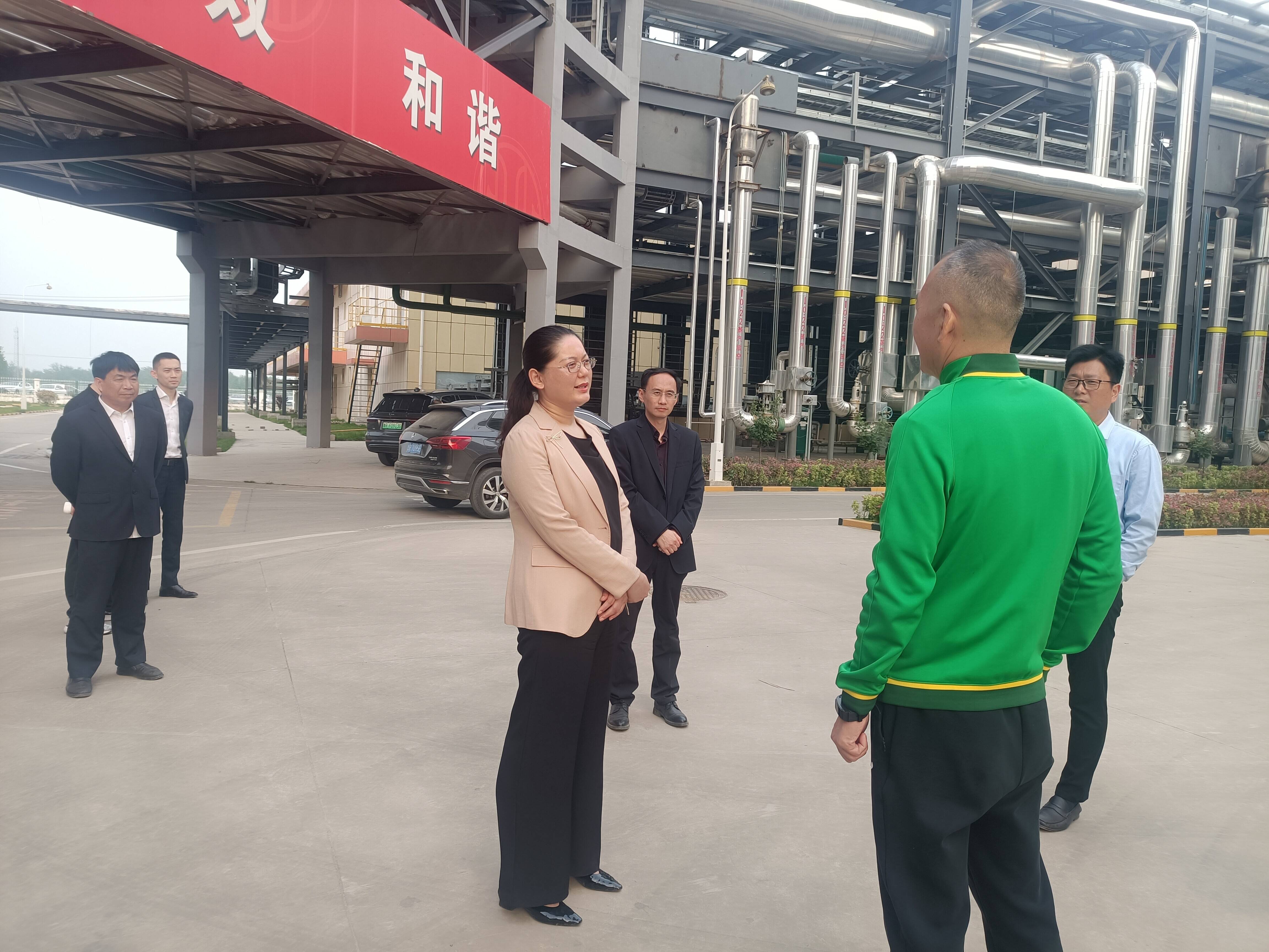 县委副书记张红带队调度重点项目建设工作