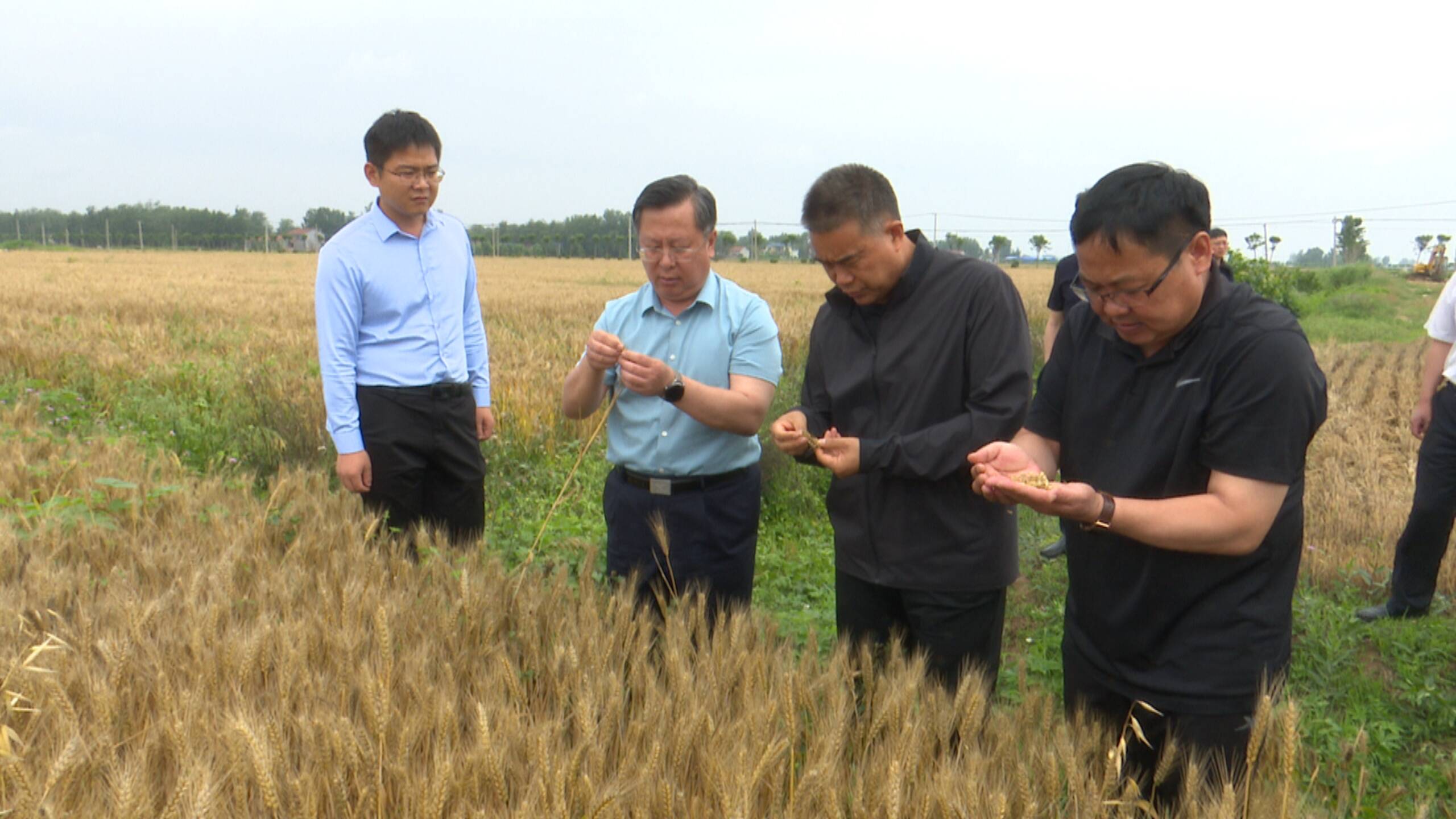 东明县委副书记县长赵海林现场调度夏收夏种工作