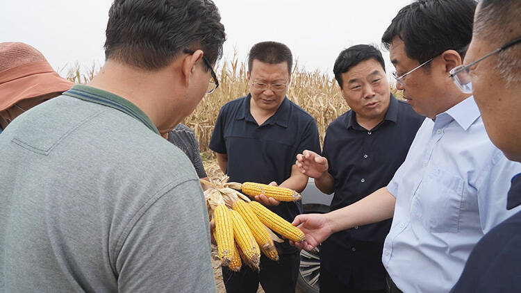 菏泽市单县县委书记耿振华现场调度当前农业生产工作