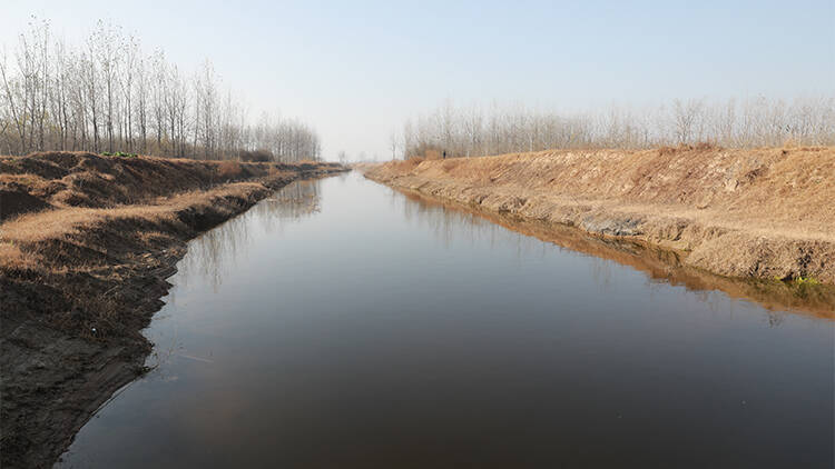 单县县委副书记县长魏传永现场调研黄河故道综合整治工作