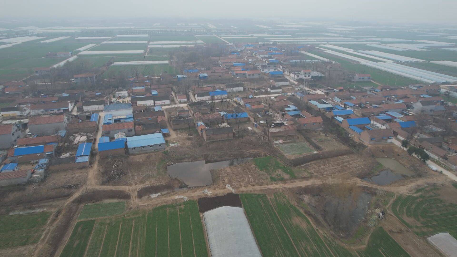 单县李新庄镇国有经济引领村集体经济发展助推乡村振兴