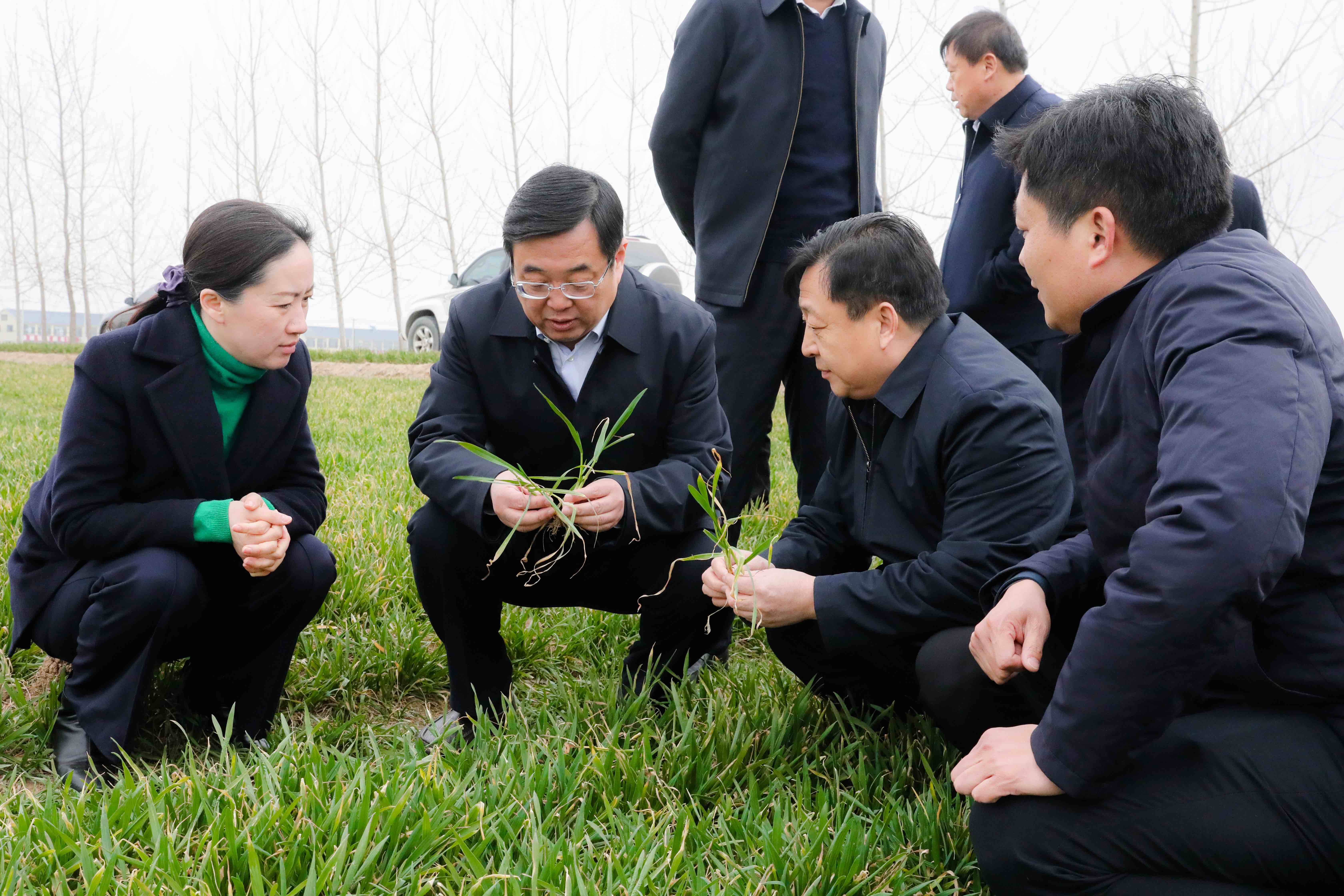 单县县委书记耿振华深入田间地头调研指导春季麦田管理工作