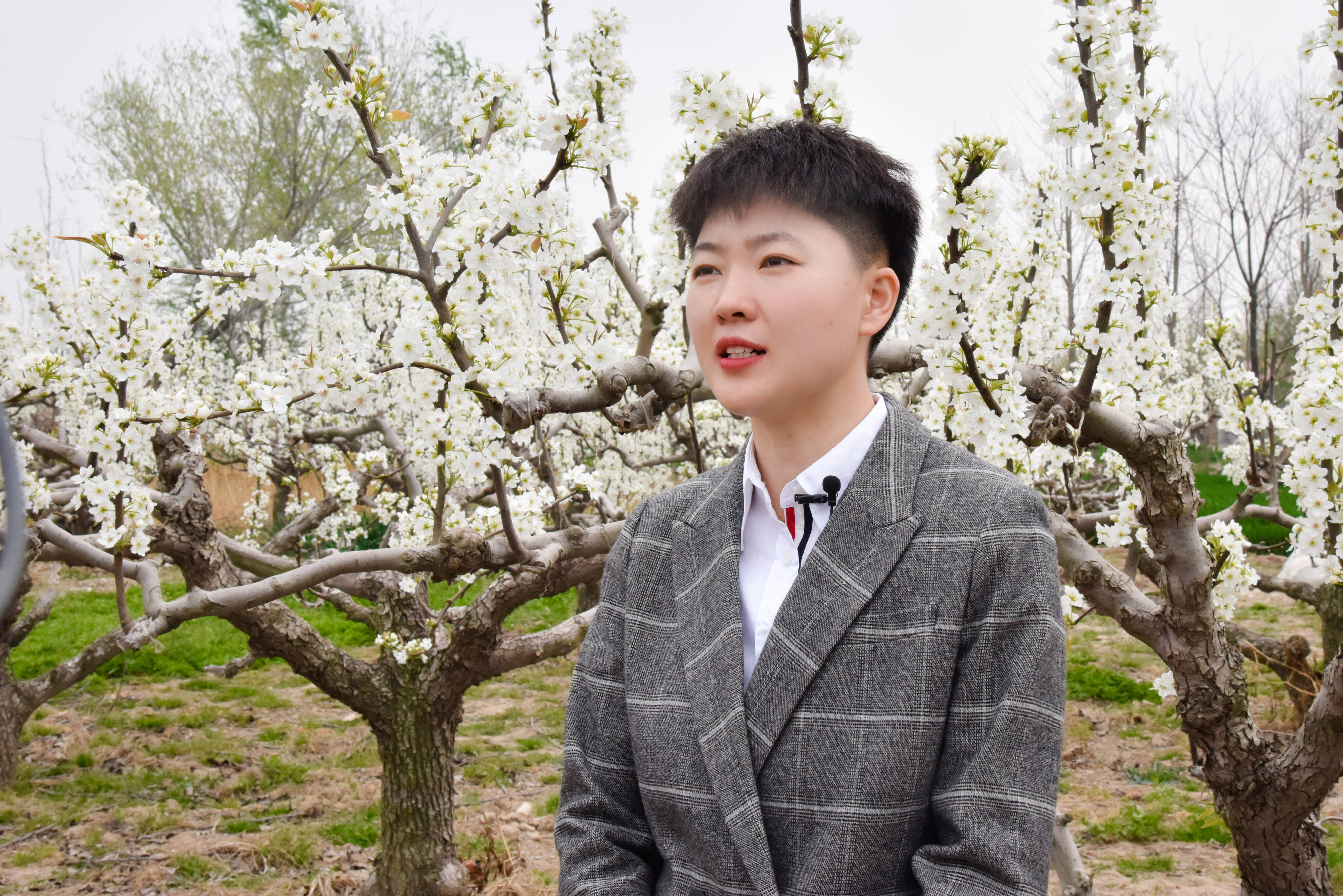 单县蔡堂镇乡村好时节lets购主题年启动仪式暨第三届梨花节开幕式举行