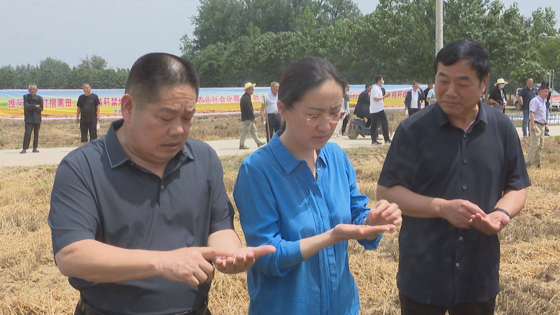 副县长刘爱菊参加活动.
