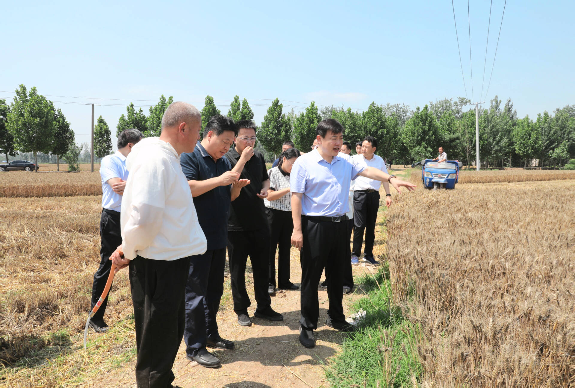 單縣縣委副書記縣長魏傳永深入一線調研督導麥收工作