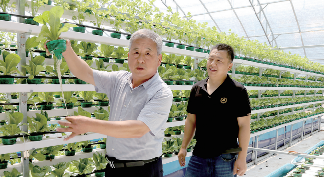 寿光市稻田镇农业转型升级新字做文章