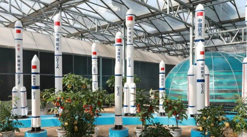 寿光菜博会把菜种到太空上