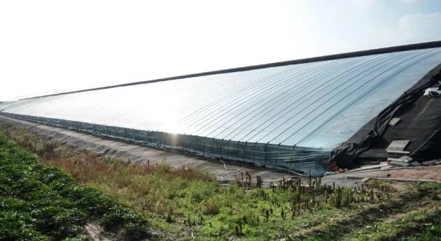 寿光洛城街道东斟灌村90后玩转新式大棚