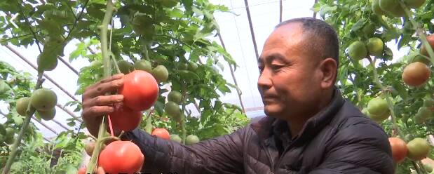 寿光梁增文做强种业芯片端牢中国饭碗