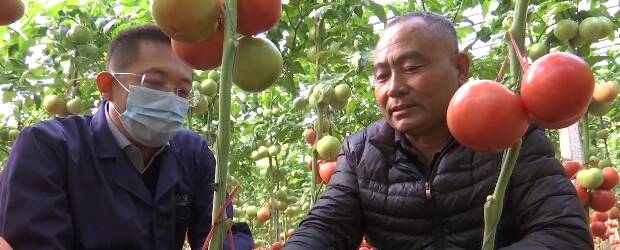 梁增文领衔建设了高层次人才研发团队,并与中国农大