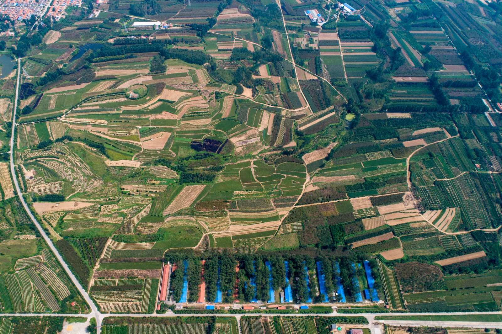桃林镇茶旅融合示范片区