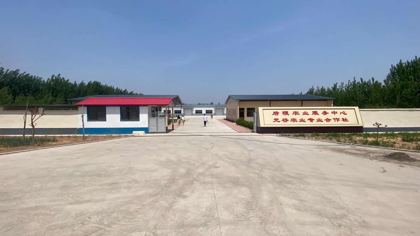 岭后元谷农业专业合作社