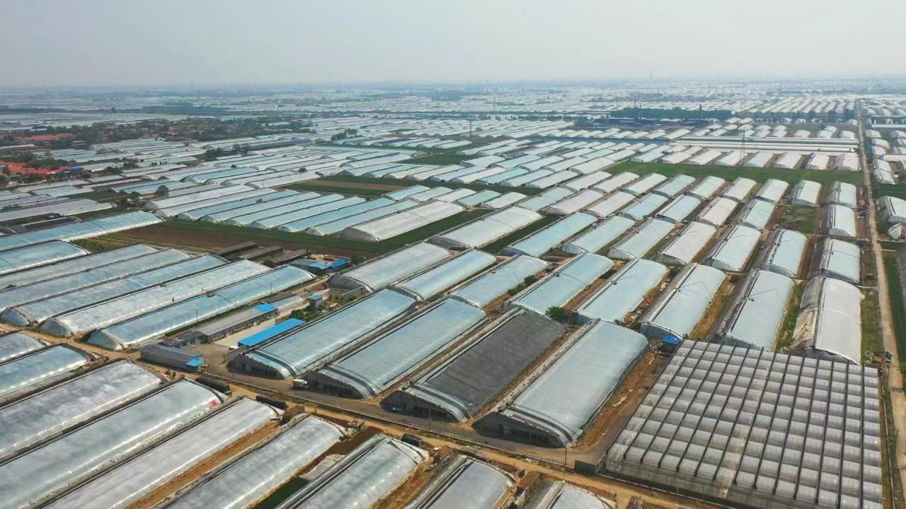 青州建设现代化农业园区助力乡村振兴