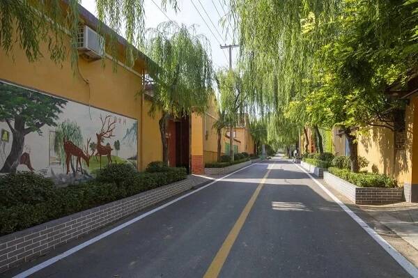 青州市邵庄镇三聚焦谱写乡村振兴新篇章