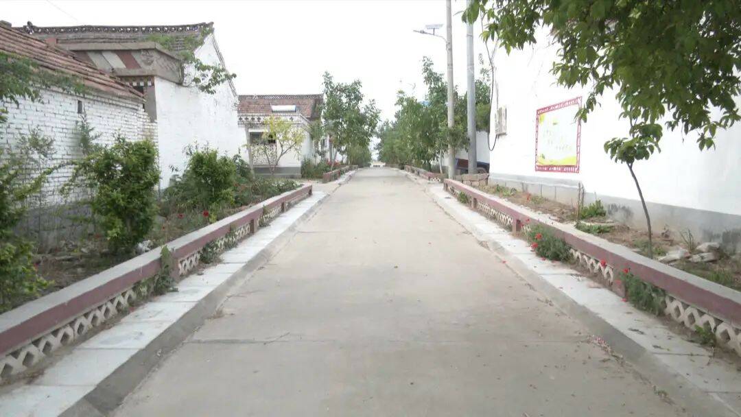 金乡县马庙镇西杨楼村立足四化两提升打造乡村振兴美丽宜居新村