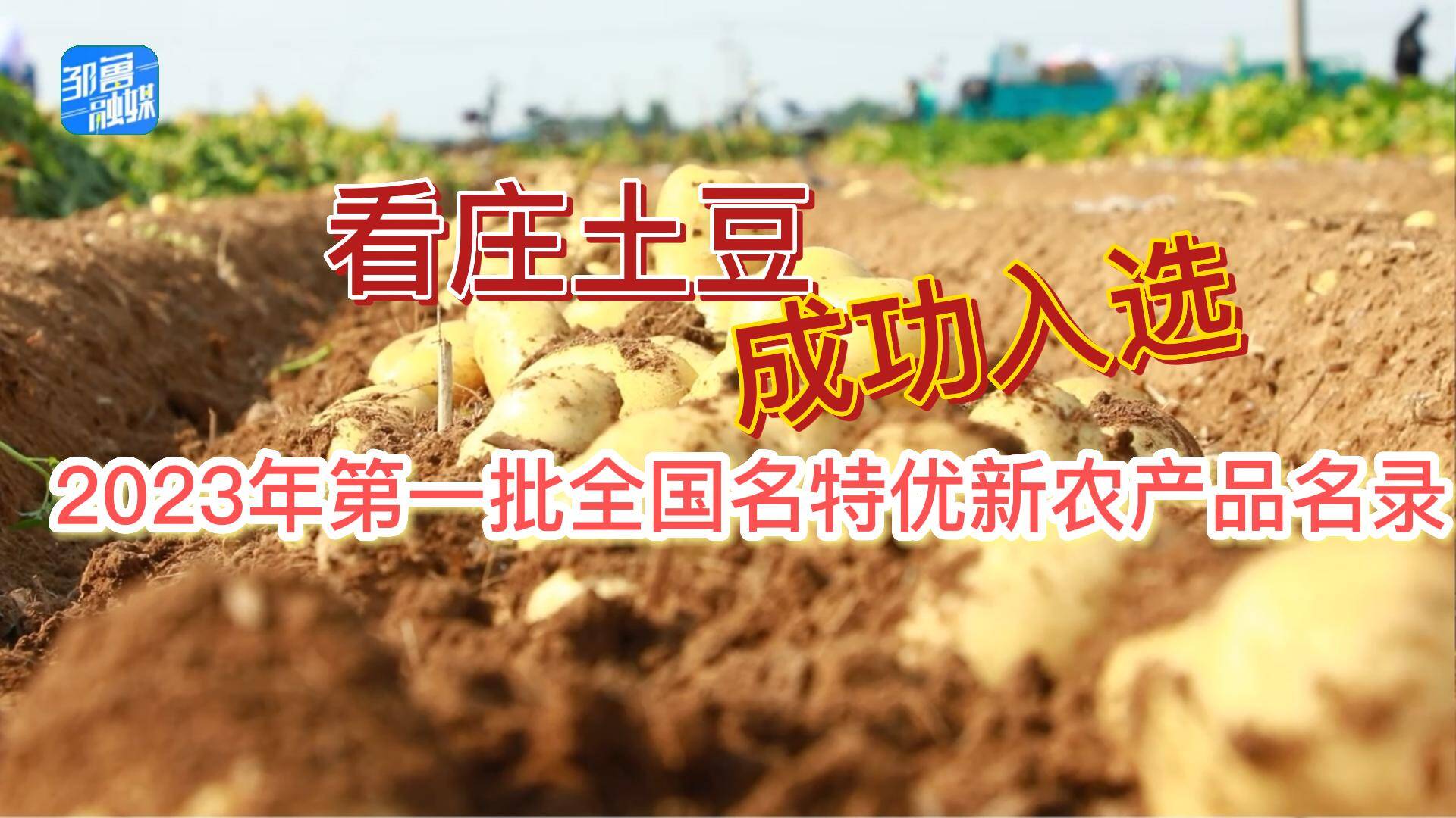 【邹视频·新闻】46 秒|看庄土豆成功入选2023年第一批全国名特优新农产品名录