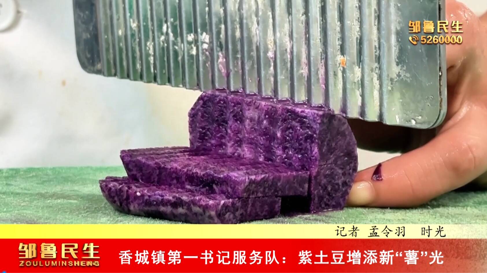 【视频新闻】香城镇第一书记服务队：紫土豆增添新“薯”光