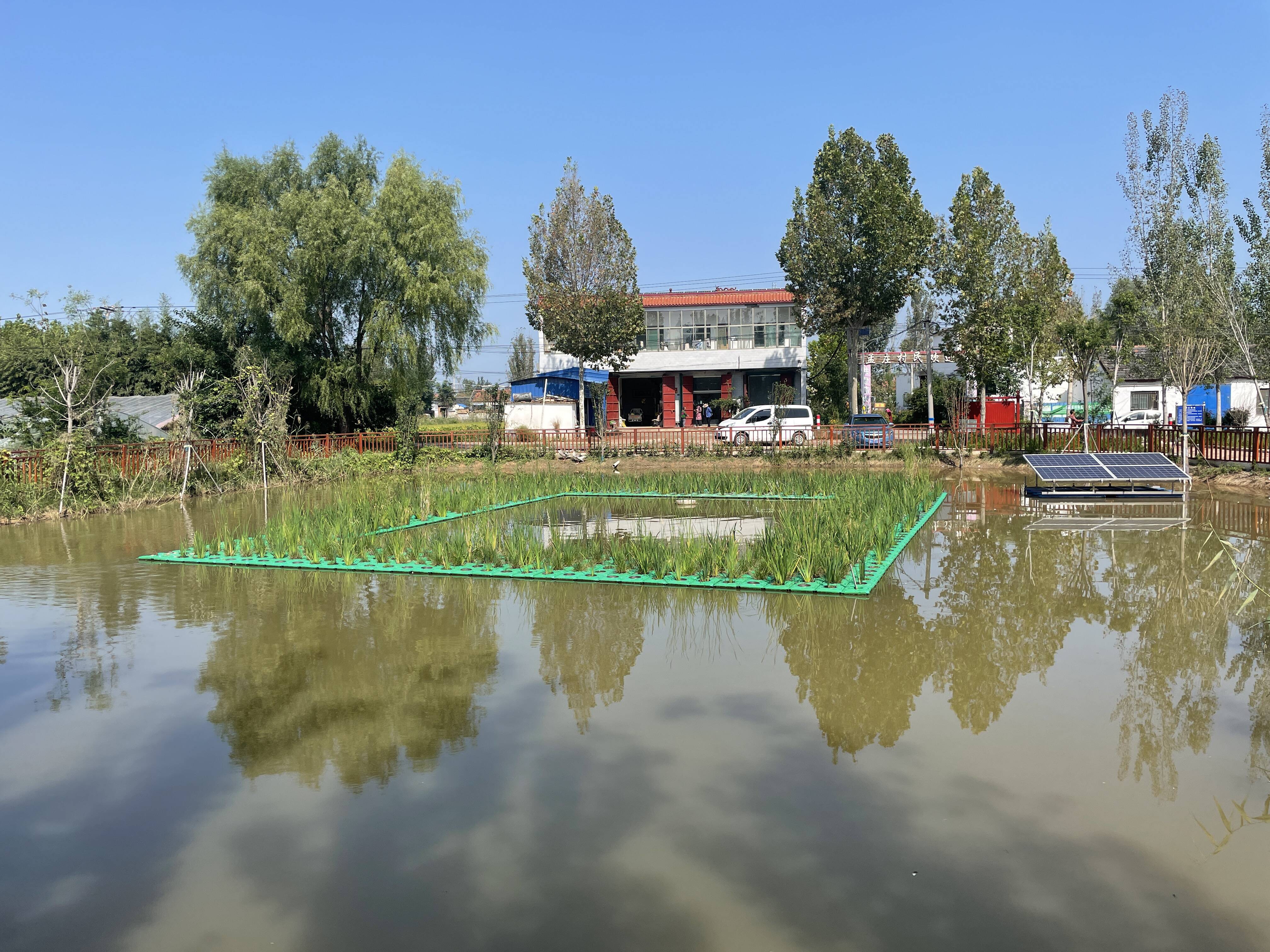 济宁市任城区喻屯镇坚持绿色发展理念加快推进农村黑臭水体整治工作