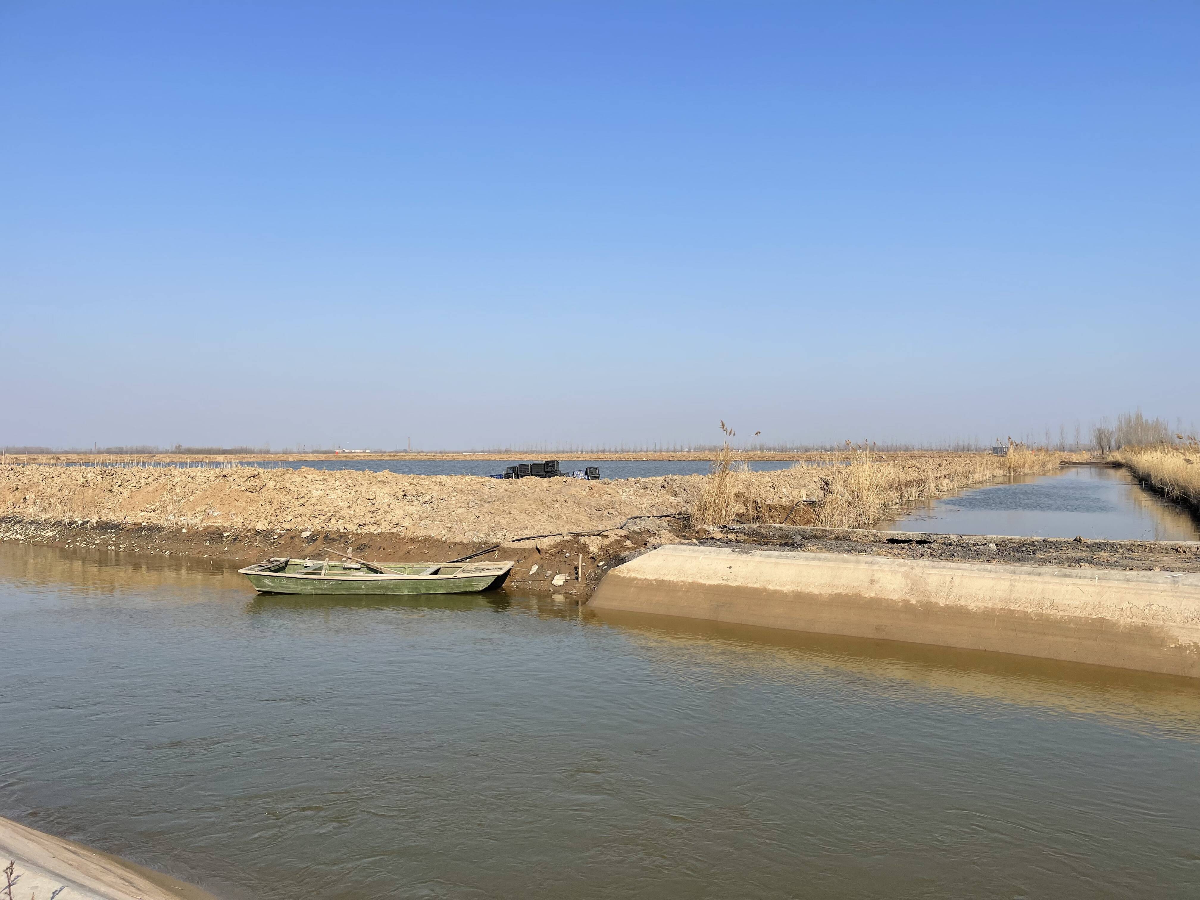 济宁市任城区喻屯镇采煤塌陷地变身水产养殖基地