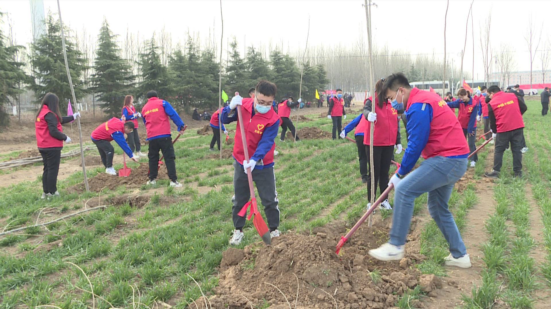 兖州区委副书记区长王营参加义务植树活动